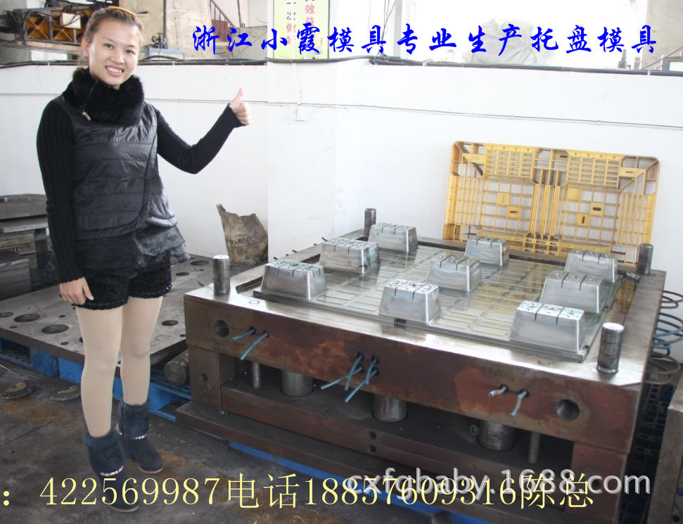 定做托盤(pán)模具電話(huà)18857609316 (2)