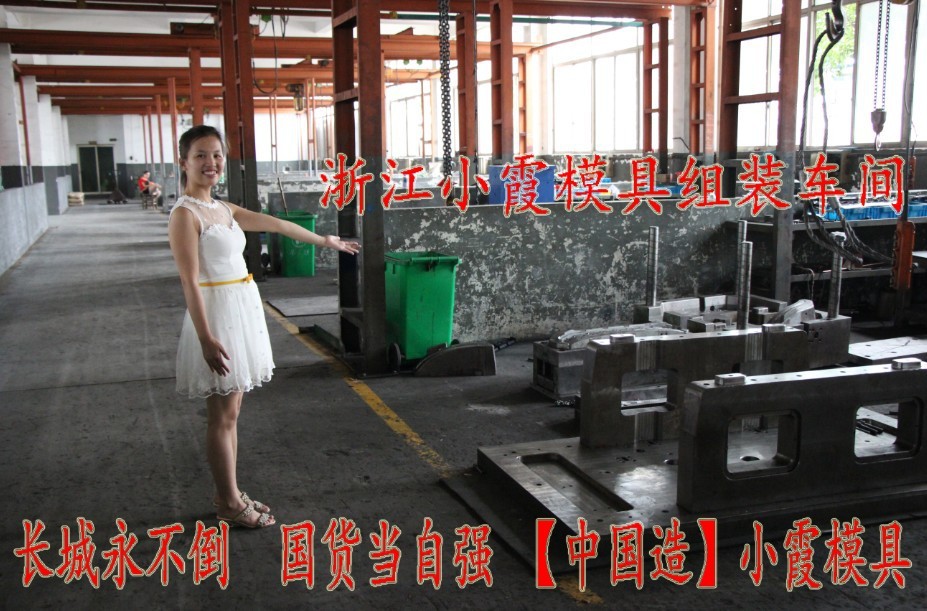 浙江小霞模具車(chē)間 (37)